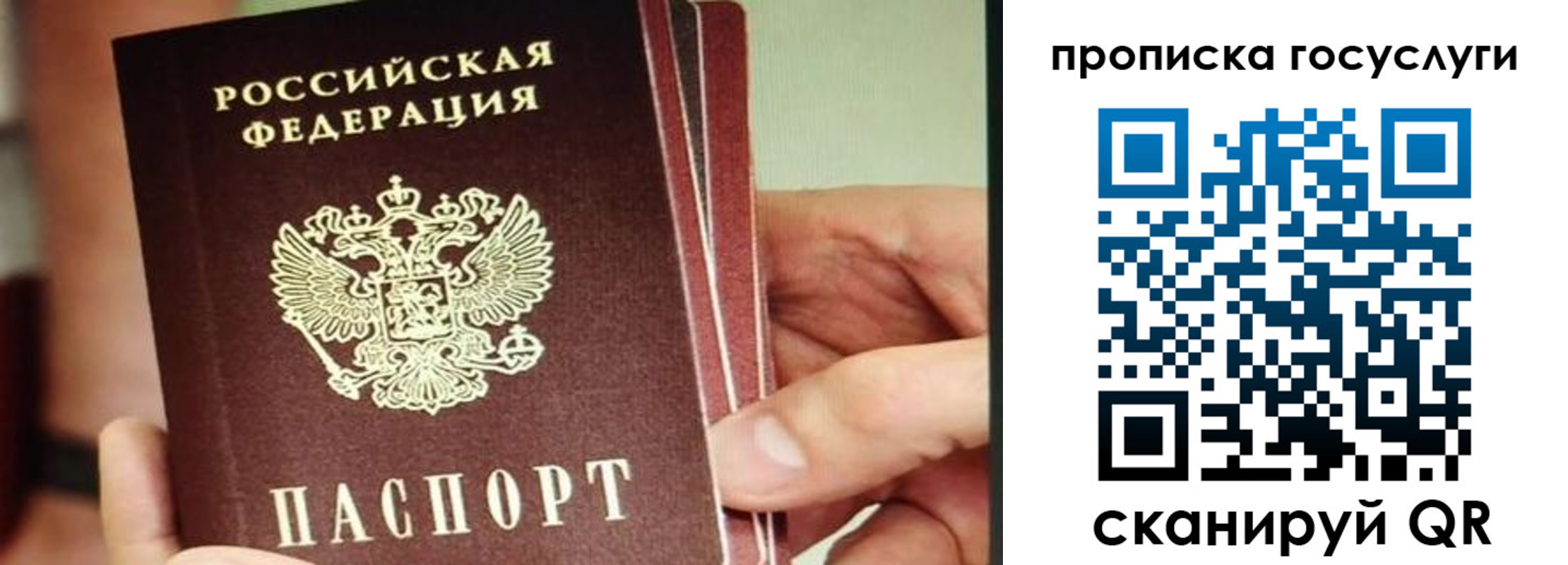 пропишу в квартире в Волгоградской области